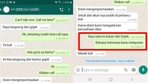 Chat Penipu Ketahuan Oleh Netizen Ini Bikin Ngakak Hot Liputan