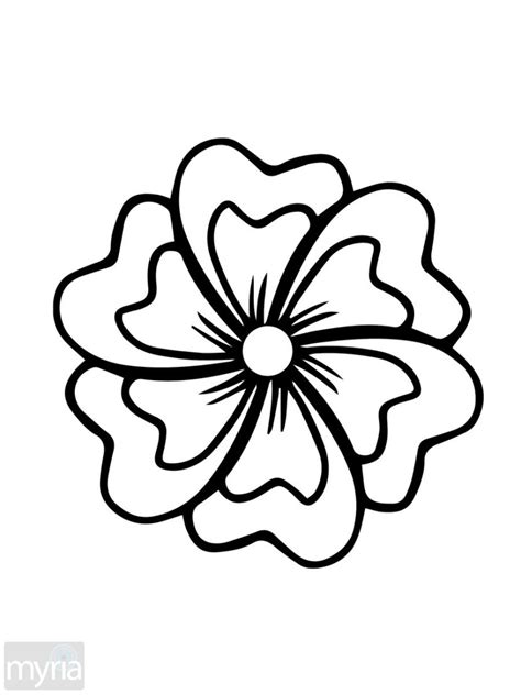 Big Flowers Drawing at GetDrawings | Free download