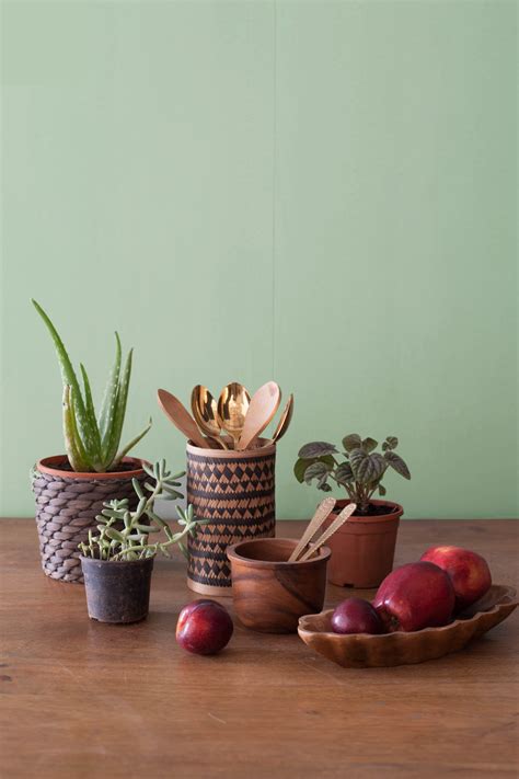 Explore Nilaya Naturals, a unique colour offering by Asian Paints!