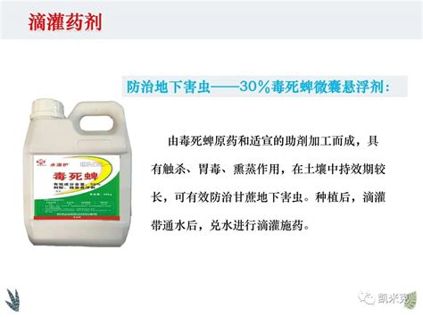 30毒死蜱微囊悬浮剂广西凯米克农业技术服务有限公司