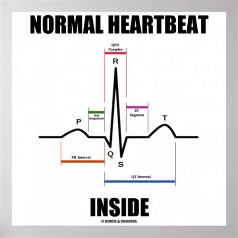 Qual Normal De Batimento Cardiaco - Poster Dentro de batimento cardíaco normal ECG ECG Eletro | Zazzle Brasil