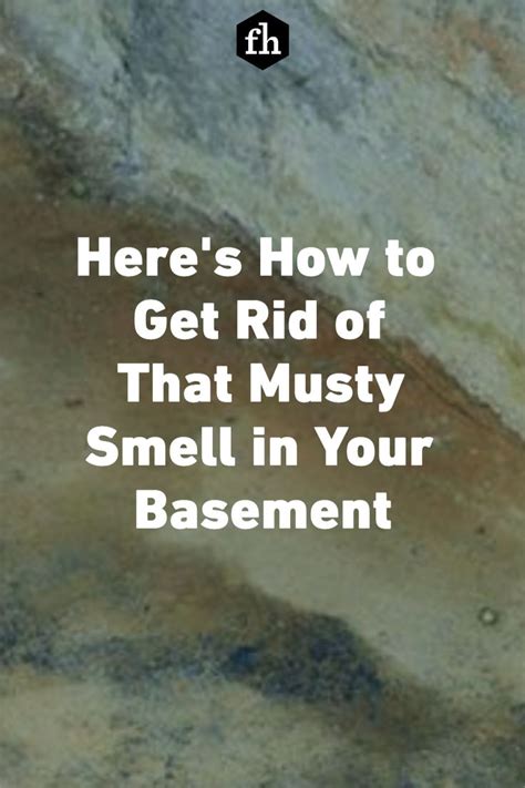 How To Get Rid Of A Basements Smell Musty Smell In House Basement