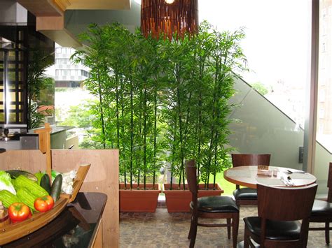 Hoi Kee Flower Shop: 2cm x 8ft bamboo in Planter