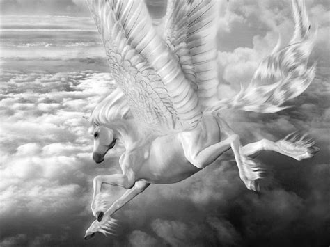 Beyond The World: Know Your Mythology Creatures ! [ Pegasus ]