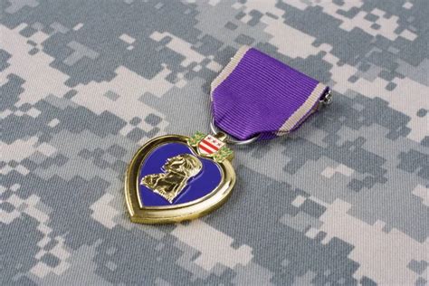 Military Purple Heart Stock Photos Royalty Free Military Purple Heart