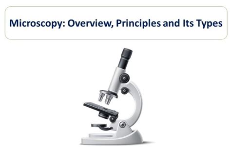 Microscopy Overview Principles And Its Types Microbiology Notes