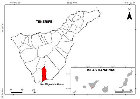 Localización geográfica del municipio de San Miguel de Abona Tenerife