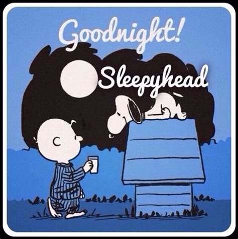 Good Night Goodnight Snoopy Snoopy Snoopy Love