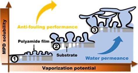 Cosolvent Assisted Interfacial Polymerization Toward Regulating The