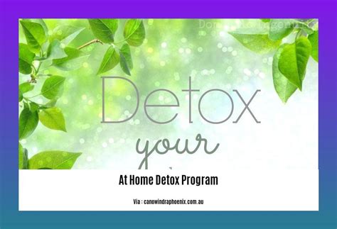 At Home Detox Program A Step By Step Guide To Safe And Effective