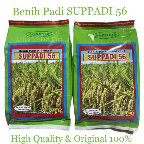 Jual Benih Padi Hibrida F Suppadi Kg Original Dari Pt Agrosid