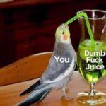 Dumb Fuck Juice Meme Generator Imgflip