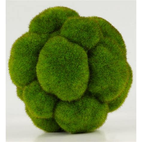 Cushion Moss Ball 5in Faux Moss Ball 5in Wide