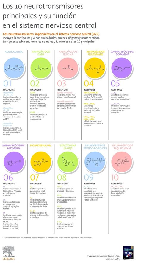 Top 10 Alimentos Ricos En Serotonina Nutricionista Online Artofit