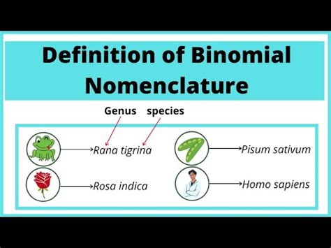 Binomial Nomenclature Definition