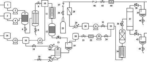 Global Scheme Of The Microalgal Biodiesel Production By Supercritical