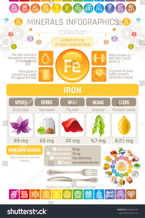 Iron Mineral Supplements Rich Food Icons Stock Vector Royalty Free