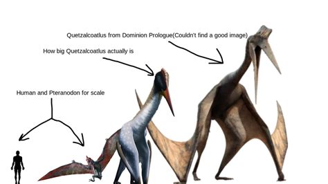 (SPOILERS!!!)My Size Comparison for a certain Jurassic World: Dominion ...