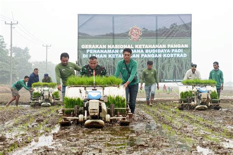 Gerakan Nasional Ketahanan Pangan Pangkostrad Tanam Perdana Padi Di Subang