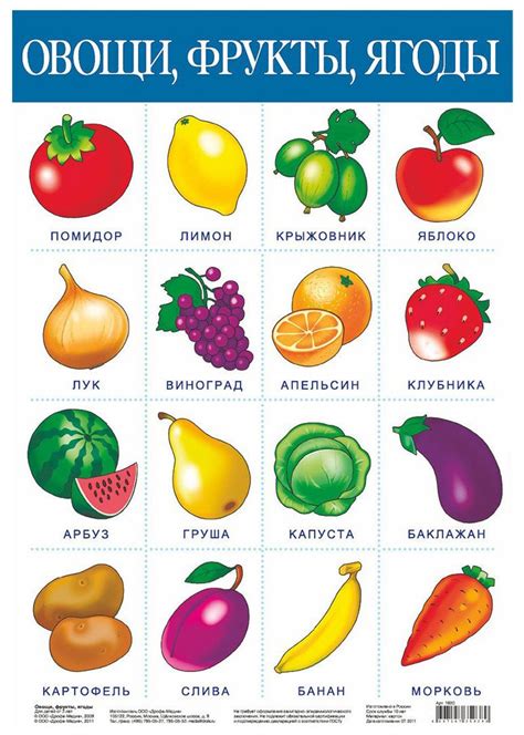Плакат фрукты и овощи (50 фото)