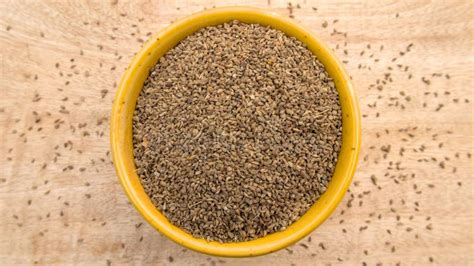 top view  ajwain carom seeds thymol seeds bishop  weed