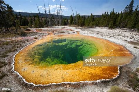 Upper Hot Springs Pool Photos And Premium High Res Pictures Getty Images