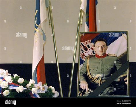 Zeljko Raznatovic Fotografías E Imágenes De Alta Resolución Alamy