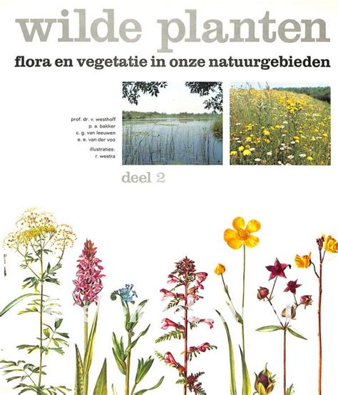 Wilde Planten Deel Het Lage Land Westhoff Boekenwebsite Nl