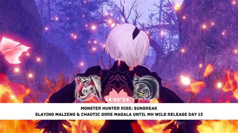 Monster Hunter Rise Sunbreak Slaying Malzeno Chaotic Gore Magala