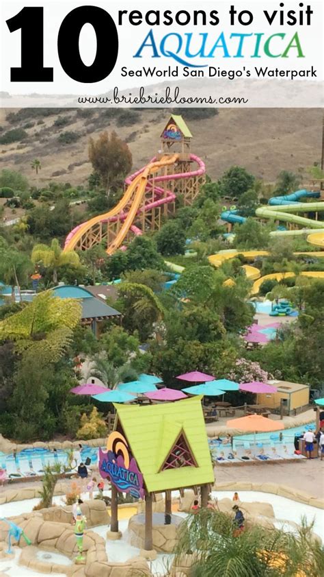 10 Reasons To Visit Aquatica Seaworld San Diegos Waterpark Brie