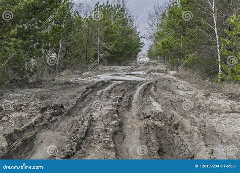 Swamp Dirt Road In Forest Off Road Trip Stock Photo Image Of Journey