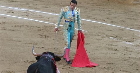 Free stock photo of matador