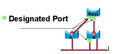 Tìm hiểu chi tiết về giao thức RSTP Rapid Spanning Tree Tiêu chuẩn