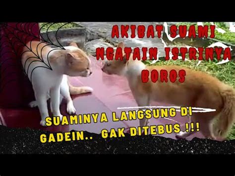 Untuk Para Suami Jangan Sekali Kali Ngatain Istri Boros Begini