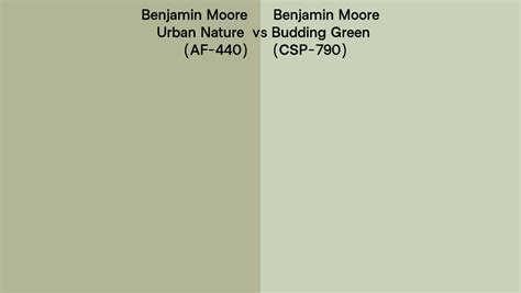 Benjamin Moore Urban Nature Vs Budding Green Side By Side Comparison