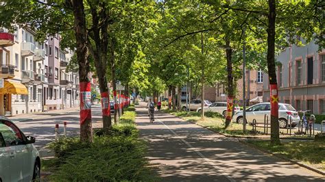 Naturdenkmal Alleen Weingarten und Moltkestraße Konferenz für Urban