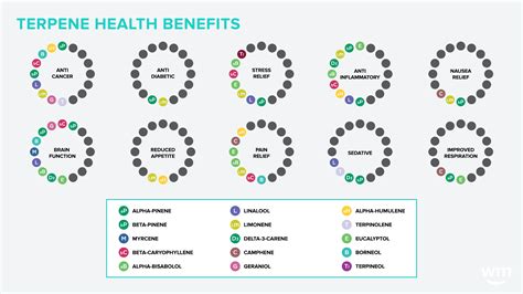 Terpenes | What Are Cannabis Terpenes? | Weedmaps