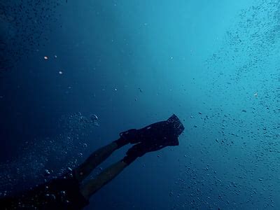 Royalty Free Photo Man Wearing Black And Red Diving Suit Underwater