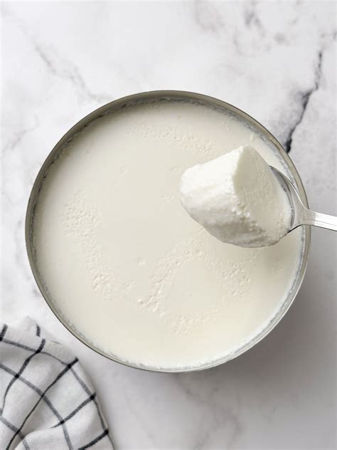 curd dahi indian yogurt indian veggie delight