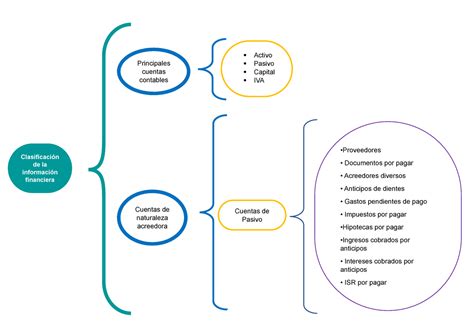 Cuadro Sinoptico De Pasivo Y Capital Studocu Images Porn Sex Picture