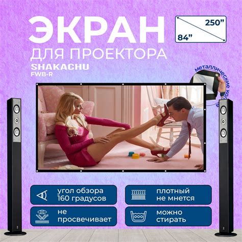 Экран для проектора, 100 ДЮЙМОВ Shakachu FWB100R Полотно для проектора ...