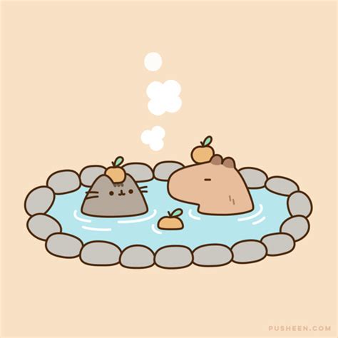 gifs de cute capybara tenor