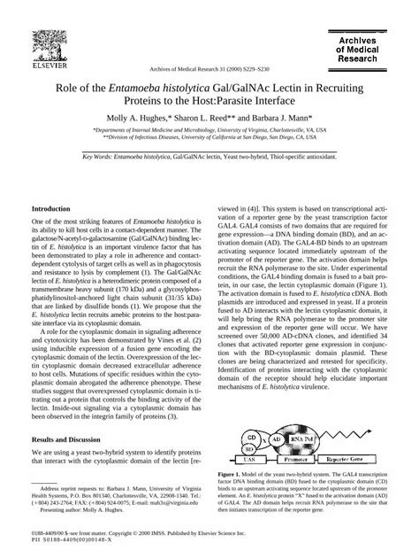 PDF Role Of The Entamoeba Histolytica Gal GalNAc Lectin In Recruiting