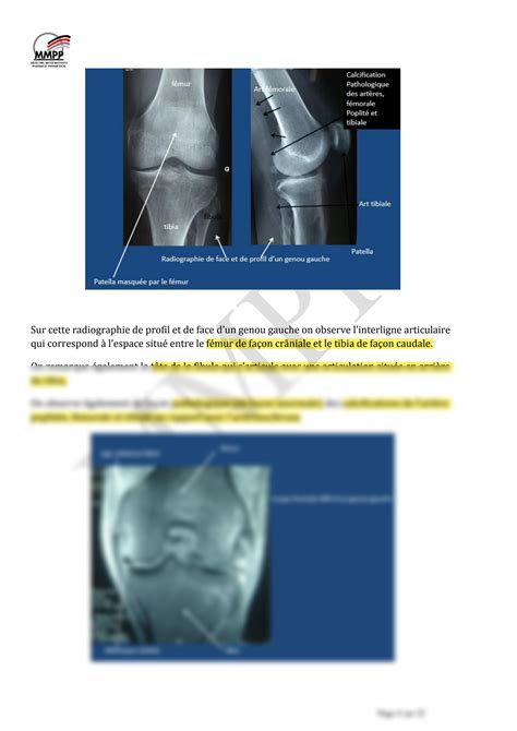 SOLUTION Anatomie générale des articulations Studypool