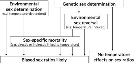 Effects Of Global Warming On Sex Ratios In Fishes Geffroy 2020