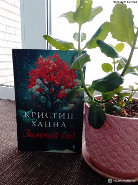 Зимний сад. Кристин Ханна - «Ужасы блокадного Ленинграда глазами ...