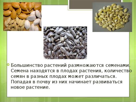 Размножение растений