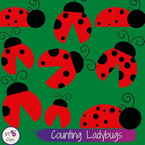 Ladybug Clip Art Counting Ladybugs Counting Clip Art  Png