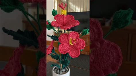 Crochet Monstera Plant Toturial Mengait Pokok Monstera Simple Malay