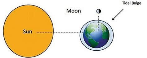 Tides: types (Diurnal, semi diurnal, mixed, neap & spring) and importance - Rau's IAS